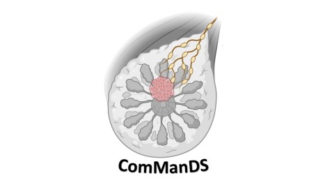 commands-study-logo-17th-april-2023-1-2